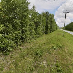 Photo #9 of Off of Cupelo Rd, Walstonburg, NC 14.8 acres