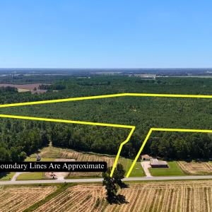 Photo #11 of Off of Lagrange Rd., LaGrange, NC 86.7 acres