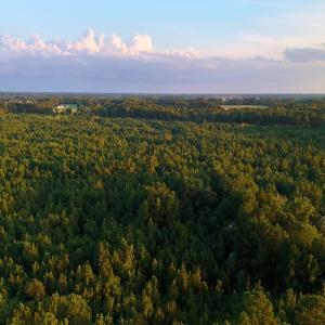 Photo #12 of Off of Lagrange Rd., LaGrange, NC 86.7 acres