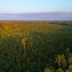 Photo #13 of Off of Lagrange Rd., LaGrange, NC 86.7 acres