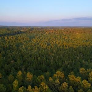 Photo #14 of Off of Lagrange Rd., LaGrange, NC 86.7 acres