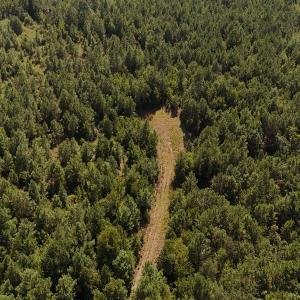 Photo #15 of Off of Lagrange Rd., LaGrange, NC 86.7 acres