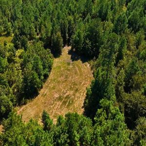 Photo #16 of Off of Lagrange Rd., LaGrange, NC 86.7 acres
