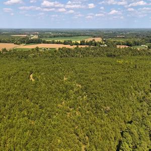 Photo #17 of Off of Lagrange Rd., LaGrange, NC 86.7 acres