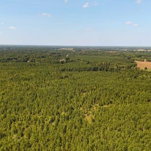 Photo #18 of Off of Lagrange Rd., LaGrange, NC 86.7 acres