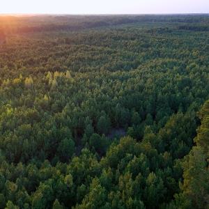 Photo #19 of Off of Lagrange Rd., LaGrange, NC 86.7 acres