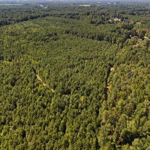 Photo #20 of Off of Lagrange Rd., LaGrange, NC 86.7 acres