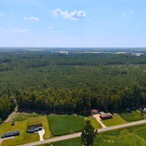 Photo #5 of Off of Lagrange Rd., LaGrange, NC 86.7 acres