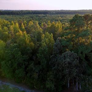 Photo #6 of Off of Lagrange Rd., LaGrange, NC 86.7 acres