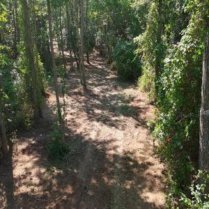 Photo #22 of Off of Lagrange Rd., LaGrange, NC 86.7 acres