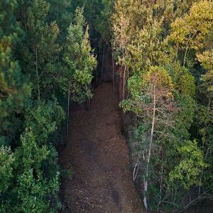 Photo #24 of Off of Lagrange Rd., LaGrange, NC 86.7 acres