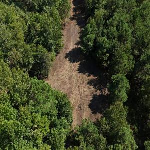 Photo #25 of Off of Lagrange Rd., LaGrange, NC 86.7 acres