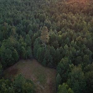 Photo #26 of Off of Lagrange Rd., LaGrange, NC 86.7 acres