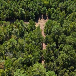 Photo #28 of Off of Lagrange Rd., LaGrange, NC 86.7 acres