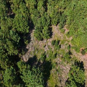 Photo #29 of Off of Lagrange Rd., LaGrange, NC 86.7 acres