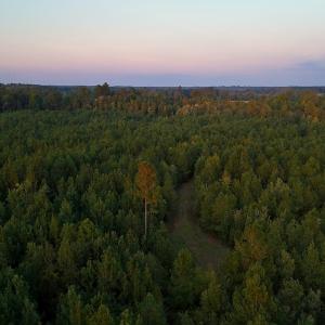 Photo #31 of Off of Lagrange Rd., LaGrange, NC 86.7 acres