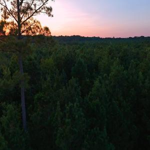 Photo #32 of Off of Lagrange Rd., LaGrange, NC 86.7 acres