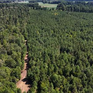 Photo #33 of Off of Lagrange Rd., LaGrange, NC 86.7 acres