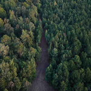 Photo #34 of Off of Lagrange Rd., LaGrange, NC 86.7 acres
