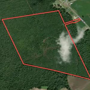 Photo #37 of Off of Lagrange Rd., LaGrange, NC 86.7 acres