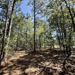 Photo #16 of Lot 10 Marks Rd, Cameron, NC 1.1 acres
