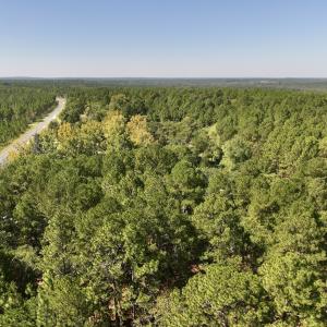 Photo #4 of Lot 10 Marks Rd, Cameron, NC 1.1 acres
