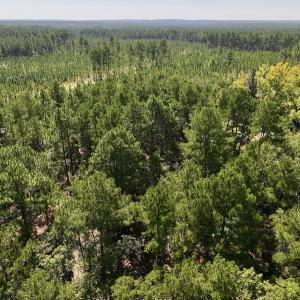 Photo #5 of Lot 10 Marks Rd, Cameron, NC 1.1 acres