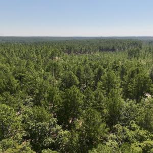 Photo #6 of Lot 10 Marks Rd, Cameron, NC 1.1 acres