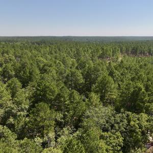Photo #7 of Lot 10 Marks Rd, Cameron, NC 1.1 acres