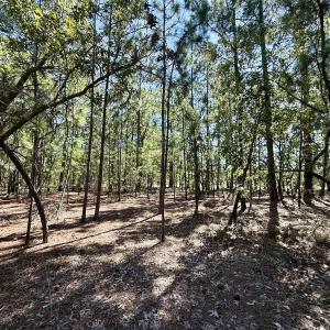 Photo #14 of Lot 11 Marks Rd, Cameron, NC 1.1 acres