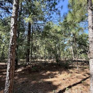 Photo #16 of Lot 11 Marks Rd, Cameron, NC 1.1 acres