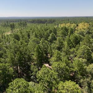 Photo #5 of Lot 11 Marks Rd, Cameron, NC 1.1 acres