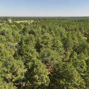 Photo #8 of Lot 11 Marks Rd, Cameron, NC 1.1 acres