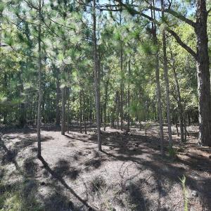 Photo #12 of Lot 12 Marks Rd, Cameron, NC 1.0 acres
