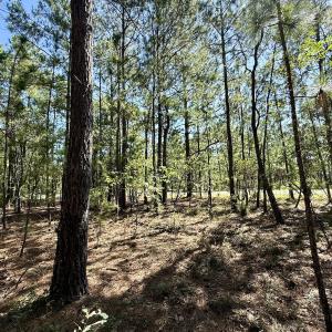 Photo #17 of Lot 12 Marks Rd, Cameron, NC 1.0 acres