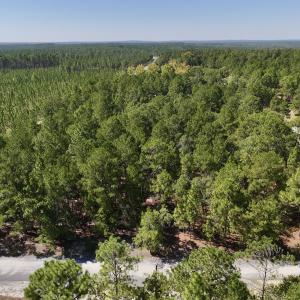 Photo #4 of Lot 12 Marks Rd, Cameron, NC 1.0 acres