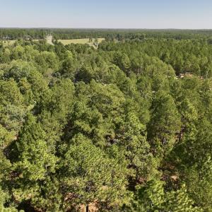 Photo #8 of Lot 12 Marks Rd, Cameron, NC 1.0 acres