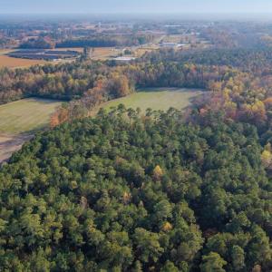 Photo #7 of Off of High School Road, Teachey, NC 41.5 acres