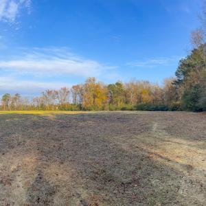 Photo #12 of Off of High School Road, Teachey, NC 41.5 acres