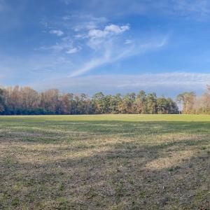 Photo #16 of Off of High School Road, Teachey, NC 41.5 acres