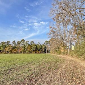 Photo #18 of Off of High School Road, Teachey, NC 41.5 acres