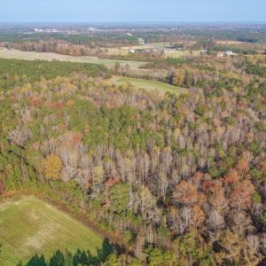 Photo #2 of Off of High School Road, Teachey, NC 41.5 acres