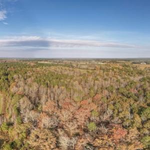Photo #20 of Off of High School Road, Teachey, NC 41.5 acres