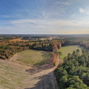 Photo #22 of Off of High School Road, Teachey, NC 41.5 acres