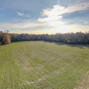 Photo #23 of Off of High School Road, Teachey, NC 41.5 acres