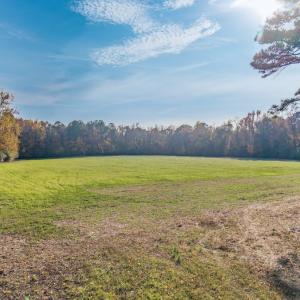 Photo #25 of Off of High School Road, Teachey, NC 41.5 acres