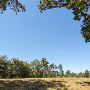 Photo #17 of Off of Timberland Trail, Huddleston, VA 64.3 acres