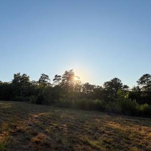Photo #28 of Off of Timberland Trail, Huddleston, VA 64.3 acres