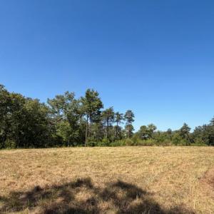Photo #18 of Off of Timberland Trail, Huddleston, VA 64.3 acres