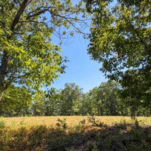 Photo #19 of Off of Timberland Trail, Huddleston, VA 64.3 acres